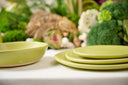 5 Piece Dinnerware Set